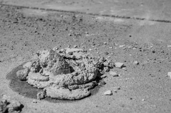 Cost of Driveway Slab Raising in Apopka